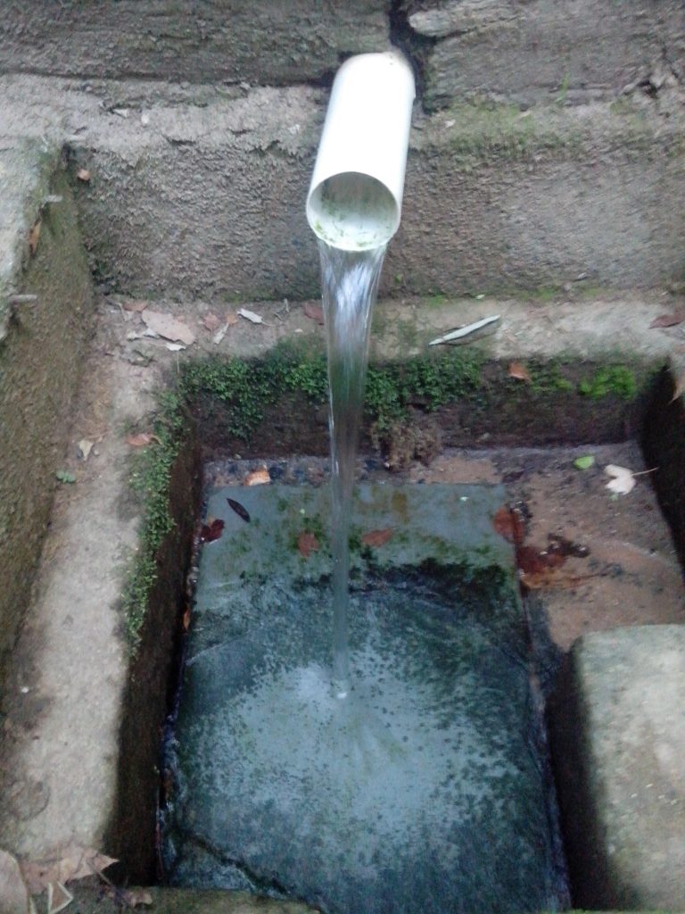 Mina d'Água 1 Mina dÁgua: Nascente Natural e Pura em Meio à Natureza Preservada